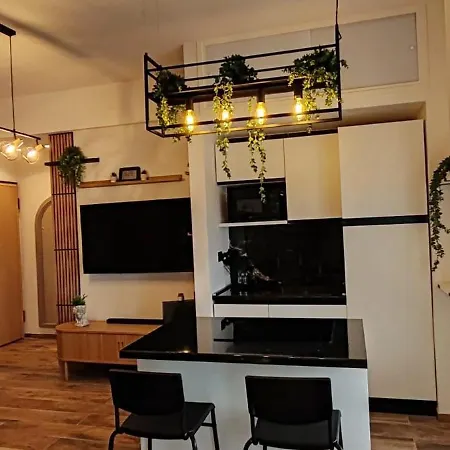 Mini Loft Moderno Di Fronte Zoomarine Торваяника